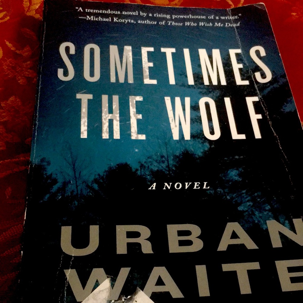 Sometimes the wolf book